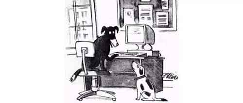 互联网发明50年，没人知道你是一条狗吗？ 移动互联网 第1张