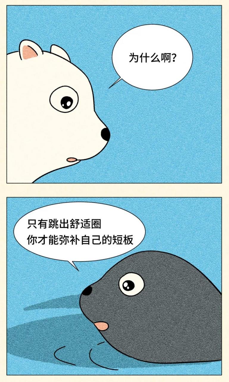 跳出舒适圈，是本世纪最大的毒鸡汤