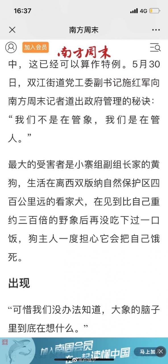 【喷嚏图卦20210604】个性化分发太厉害了，你喜欢猪食看到的就全是猪食